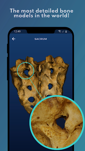 Android application Skelviewer: 100% bone markings screenshort