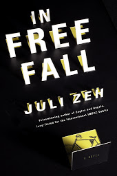 Icon image In Free Fall: A Novel