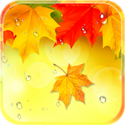 Autumn Live Wallpaper HD Free: Raindrop Background