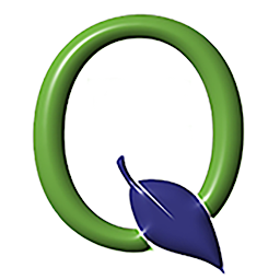 Q Mobile 2024: Download & Review