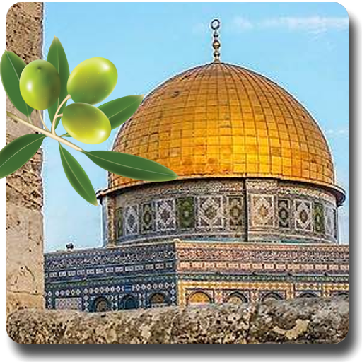 Palestine Beauty Wallpapers logo