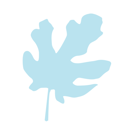 AMPA - Colegio Antonio Fontán logo