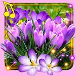 Cover Image of Download Spring Crocus Snow  APK