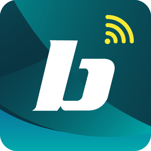 Bluguard Connect logo
