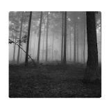 Slenderman's Forest LW Free icon