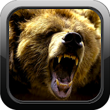 Black Bear Hunter icon