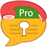 Hide SMS and Call Recorder Pro icon