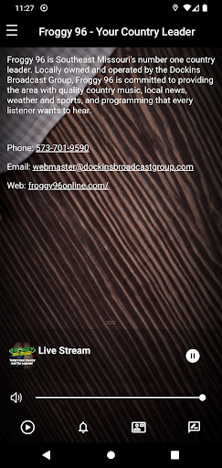 Android application Froggy 96 Online screenshort