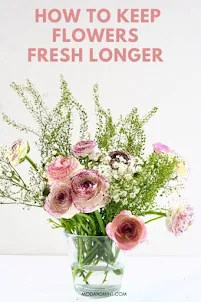 how make flowers last longer