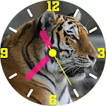 Cover Image of Unduh Tigers Clock Live Wallpapers  APK