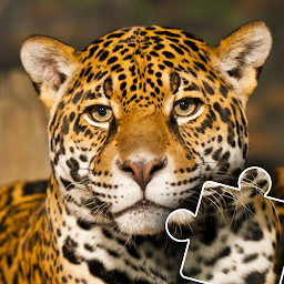 Ikonas attēls “Animals Photo Jigsaw Puzzle”