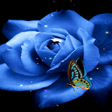 Blue Butterfly Rose LWP icon