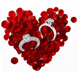 Engagement Rings Wedding Rings icon