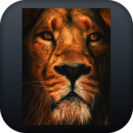 خلفيات مميزة