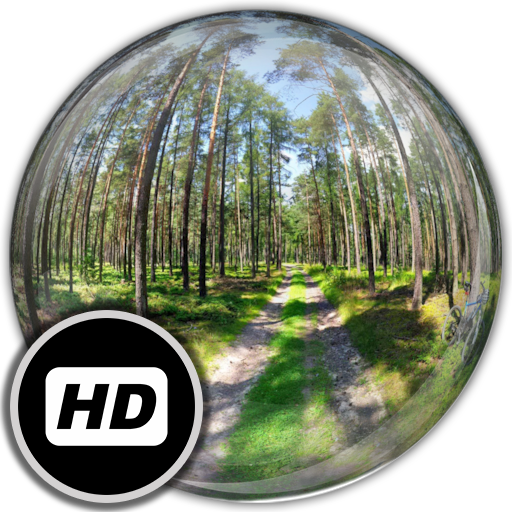 Panorama WallpaperForestRoads