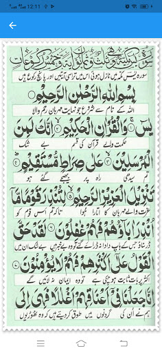 Read Surah Yasin & Qul Offline Screen 2