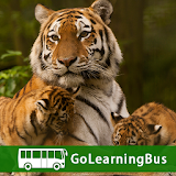 Learn Zoology by GoLearningBus icon
