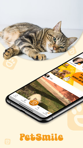 Android application PetSmile - Social for animals screenshort