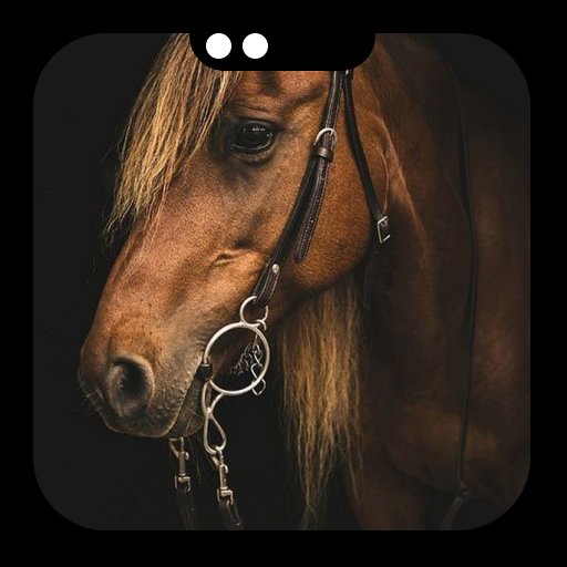 Running Horse Wallpaper Install on Windows