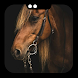Running Horse Wallpaper - Androidアプリ
