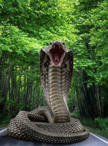 Snake Live Wallpaper Screen 2