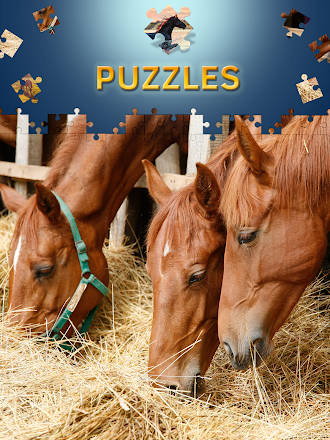 Game screenshot Horses Jigsaw Puzzles Free apk download