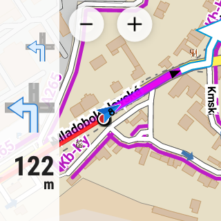 Screenshot of Locus Map Watch