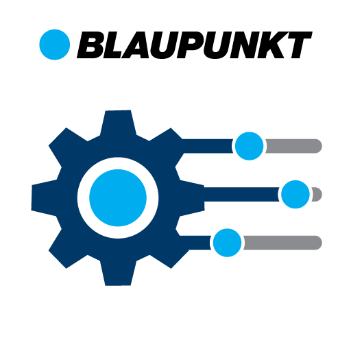 Blaupunkt 1D DSP Download on Windows