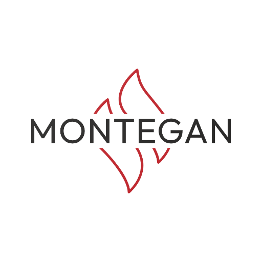 Montegan Connector Logo