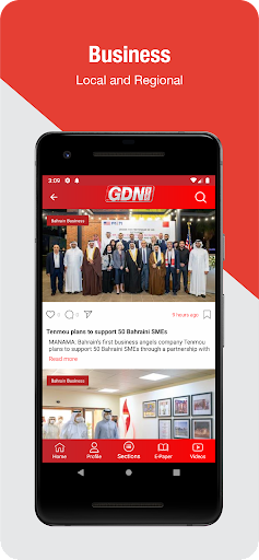 GDN Online Screen 2