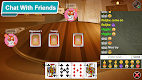 screenshot of 29 Card Game
