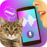 Cat Voice Translator Simulator icon
