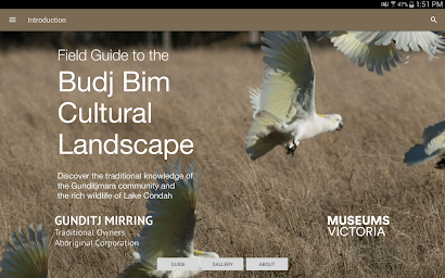 Field Guide to Budj Bim Cultural Landscape