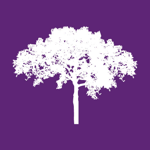 Grupo Cumbres logo