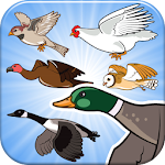 Happy Aviary - Chose your Bird Apk