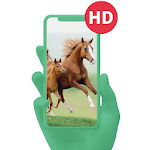 Cover Image of Download Horse Wallpaper Free Download 2.12 APK