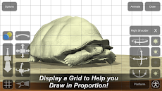 Tortoise Mannequinのおすすめ画像3