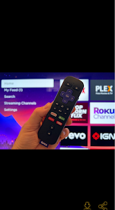 Roku tv remote guide