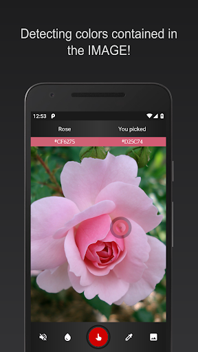 Color Detector Screen 3