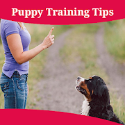 Puppy Training Tips