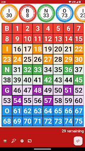 Bingo Caller 1