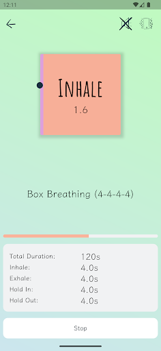 Art Of Breathing: paced breath Screen 2