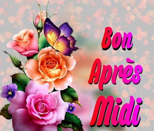 Bon après-midi Bonsoir 2024 Screen 3