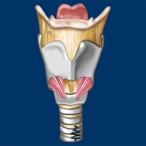 Larynx ID Latest Icon