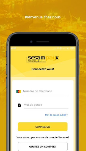 SesamPayx Screen 3