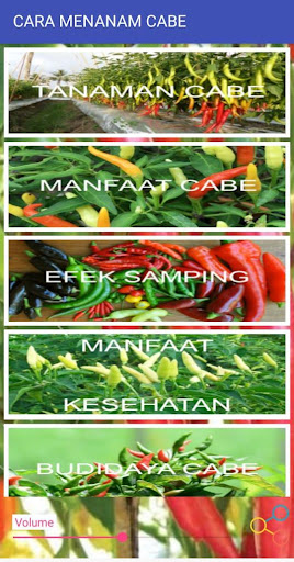 Android application CARA MENANAM CABE screenshort