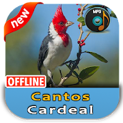 Top 13 Music & Audio Apps Like Cantos Cardeal - Best Alternatives