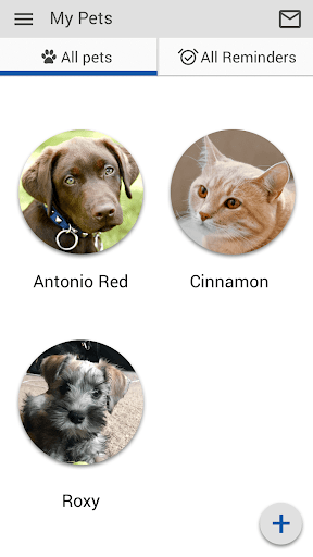 Companion Animal Hospital FL Screen 3
