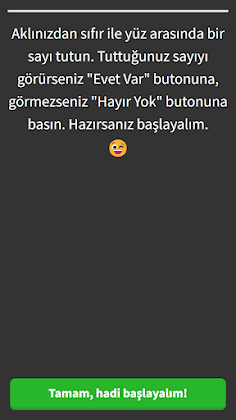 Sayı Tahmin Oyunu - Screenshot 1