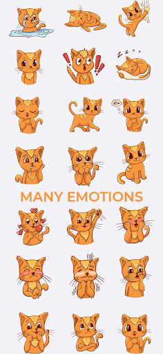 Human to Cat Translator Screen 3
